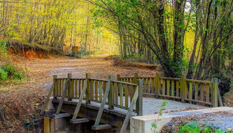 Polonezköy Tabiat Parkı’nda Doğayla Buluşma